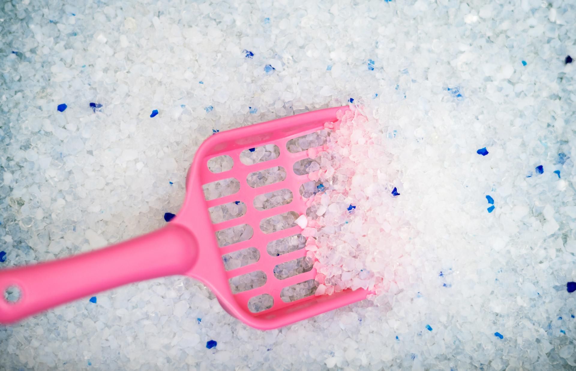 Żwirek dla kota można wykorzystać w mieszkaniu jako pochłaniacz wilgoci