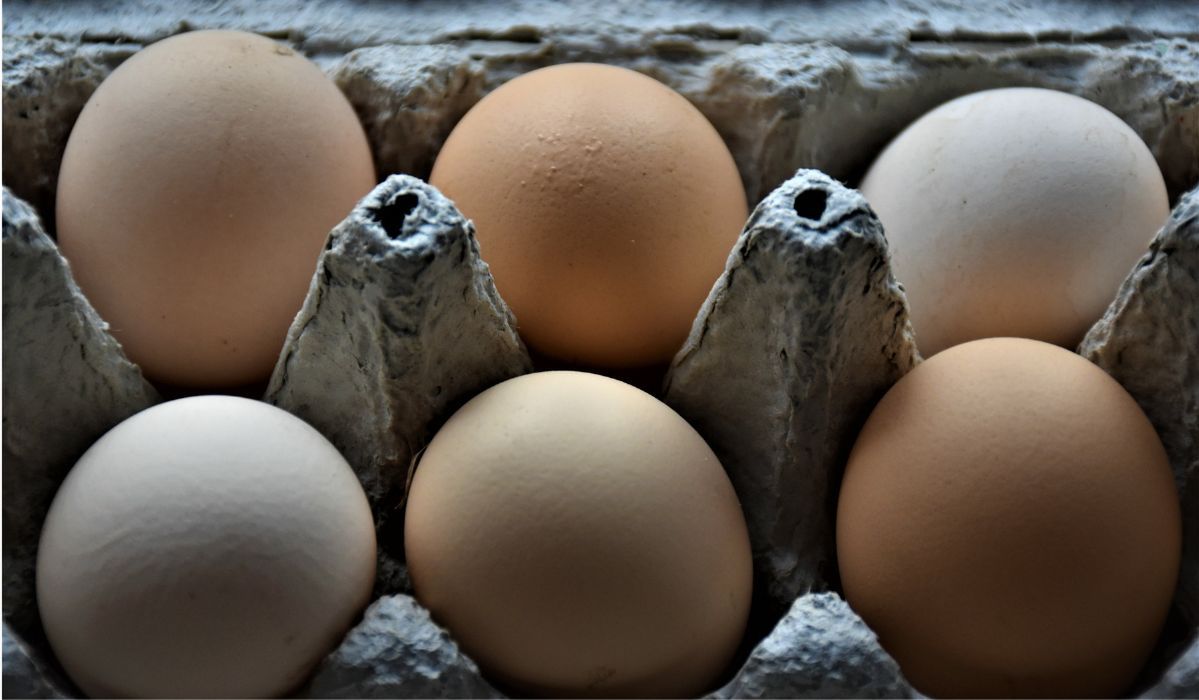 To najzdrowszy sposób na przygotowywanie jajek. Tylko on wydobywa maksimum wartości odżywczych
