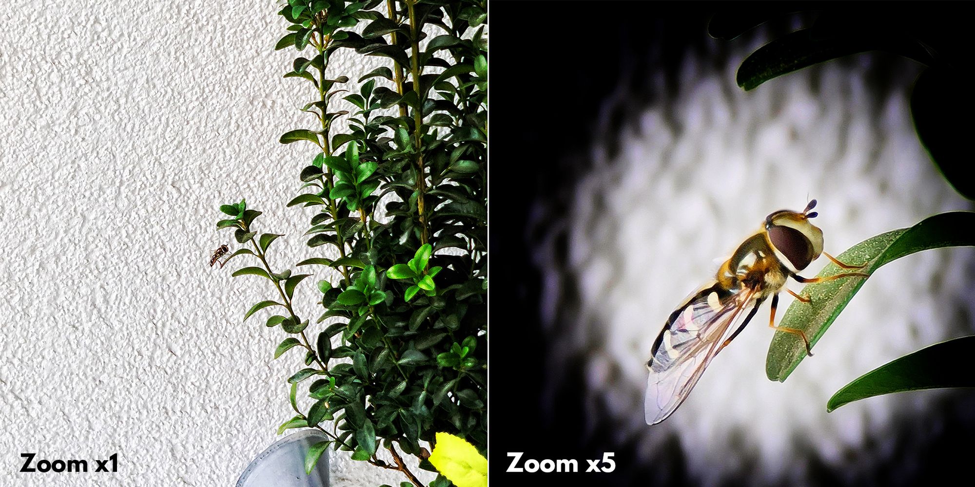 Zadbaj o swój Instagram! Tygodniowy kurs fotografii bez ruszania się z domu 7