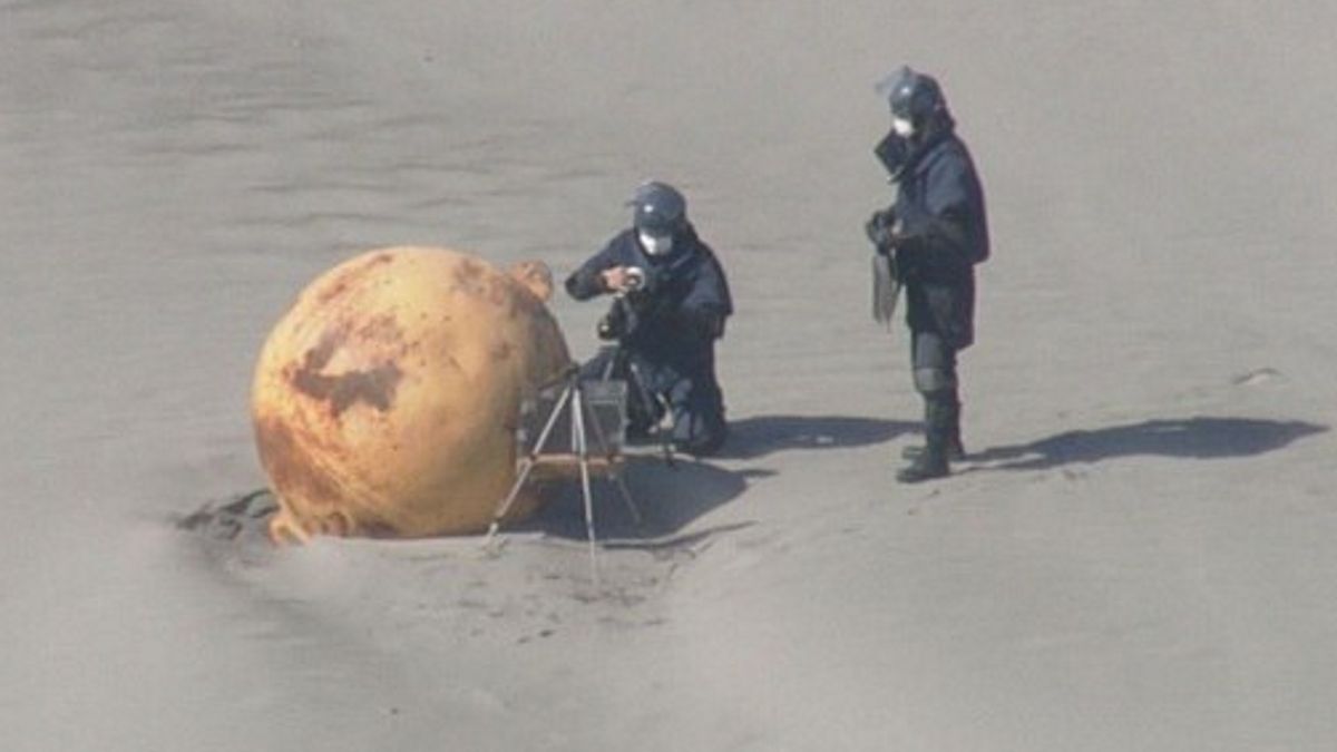 Przedmiot wylądował na plaży