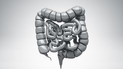 Kątnica jelita grubego - najczęstsze choroby i dolegliwości