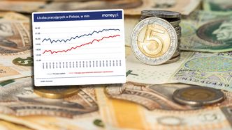 To nie jest kraj dla małych przedsiębiorców? Te dane mówią wiele [ANALIZA]