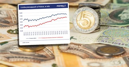 To nie jest kraj dla małych przedsiębiorców? Te dane mówią wiele [ANALIZA]