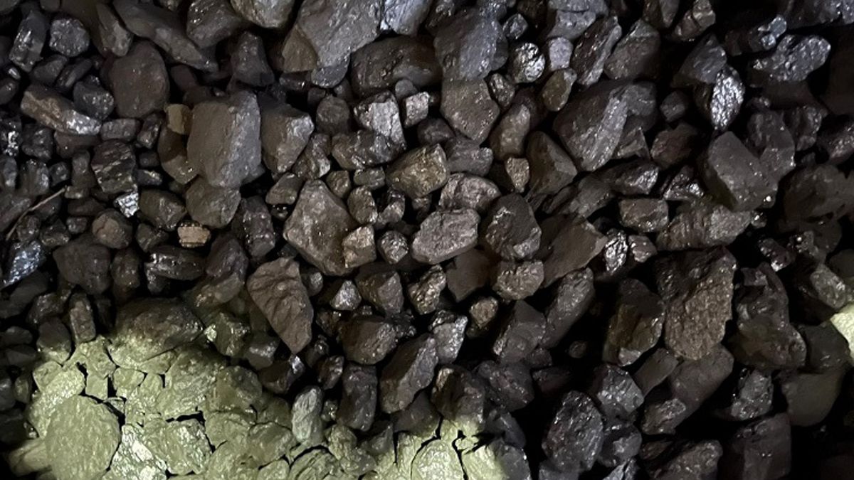 Zdjęcie podglądowe.