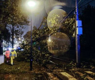 Radar burzowy - Najnowsze informacje - WP Wiadomości