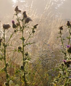 Pogoda. Babie lato coraz bliżej Polski. Prognoza długoterminowa