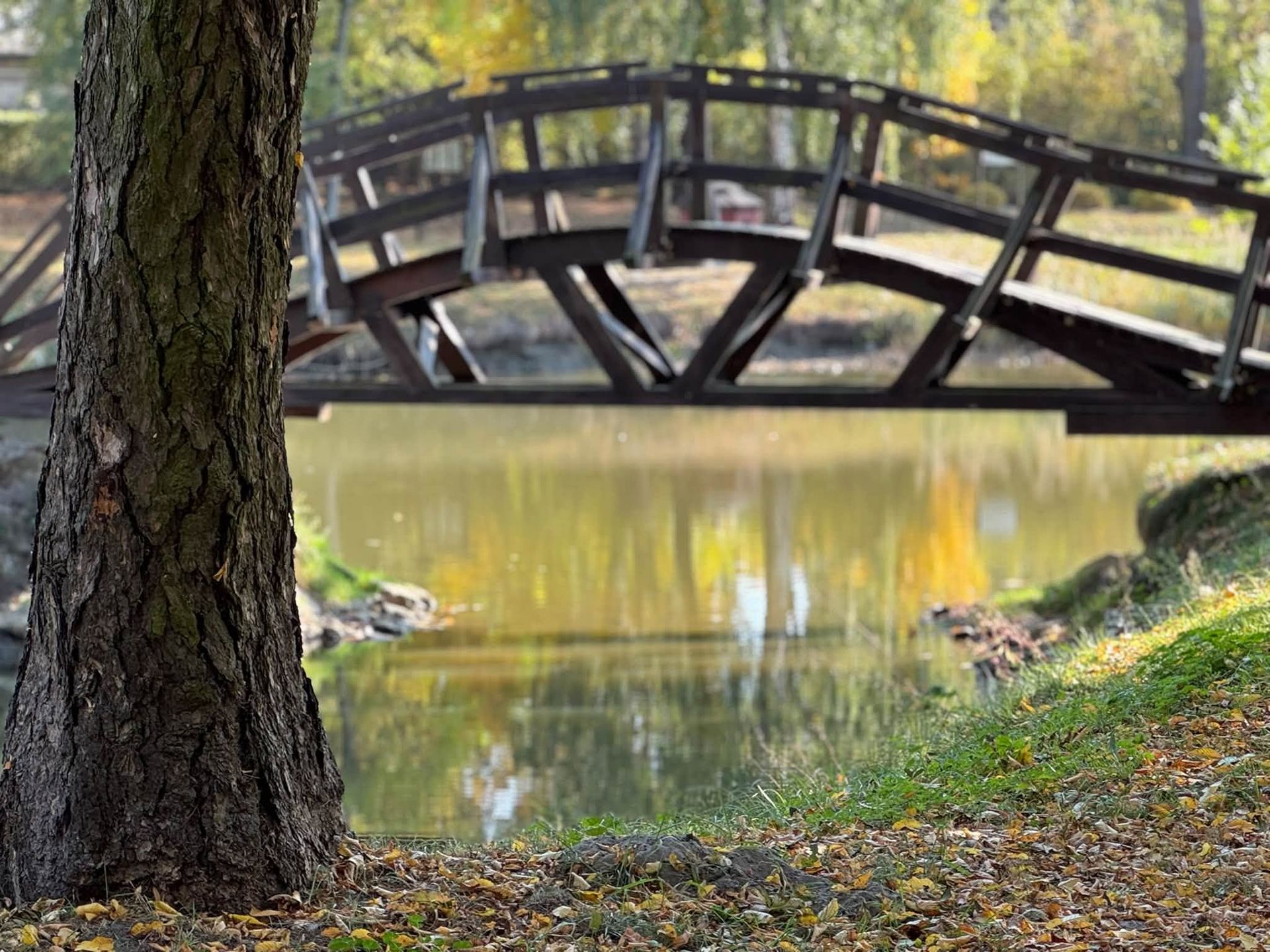 Park im. Jana Kochanowskiego w Radzanowie
