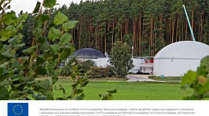 Biomasa - zielona energia czy spalanie czego popadnie? [QUIZ]