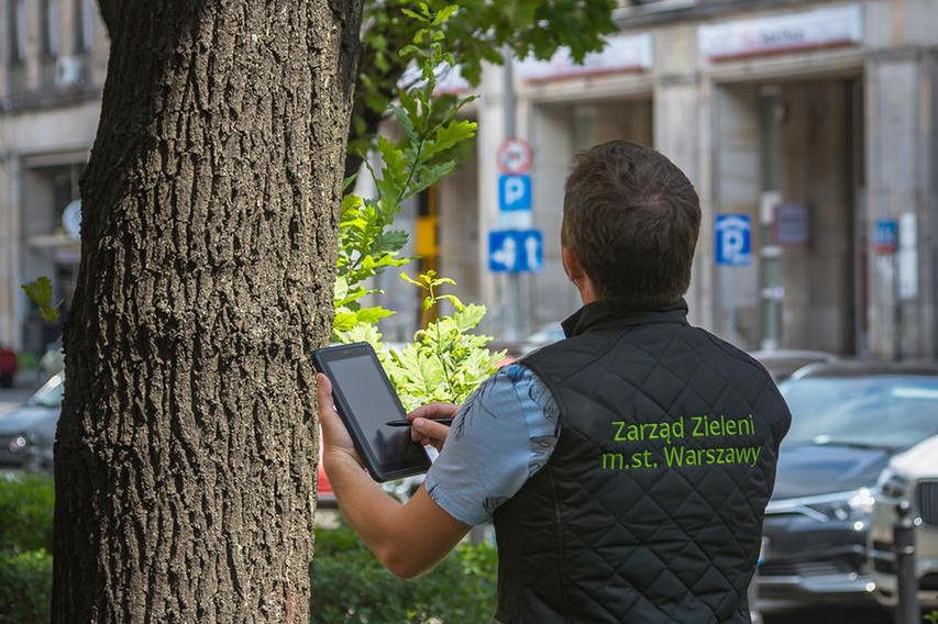Warszawa. Miasto inwentaryzuje stołeczne drzewa