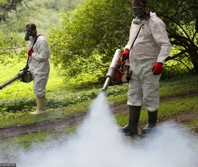 Potwierdziło się. Niebezpieczne komary w 13 państwach UE