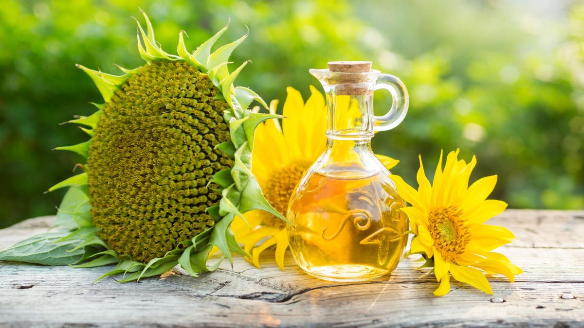 Olej słonecznikowy w nadmiarze szkodliwy dla stawów