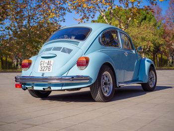 XXI Zlot Miłośników Volkswagena Garbusa w Sztumie. Prawie 200 aut