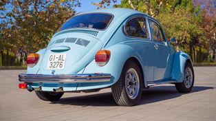 XXI Zlot Miłośników Volkswagena Garbusa w Sztumie. Prawie 200 aut