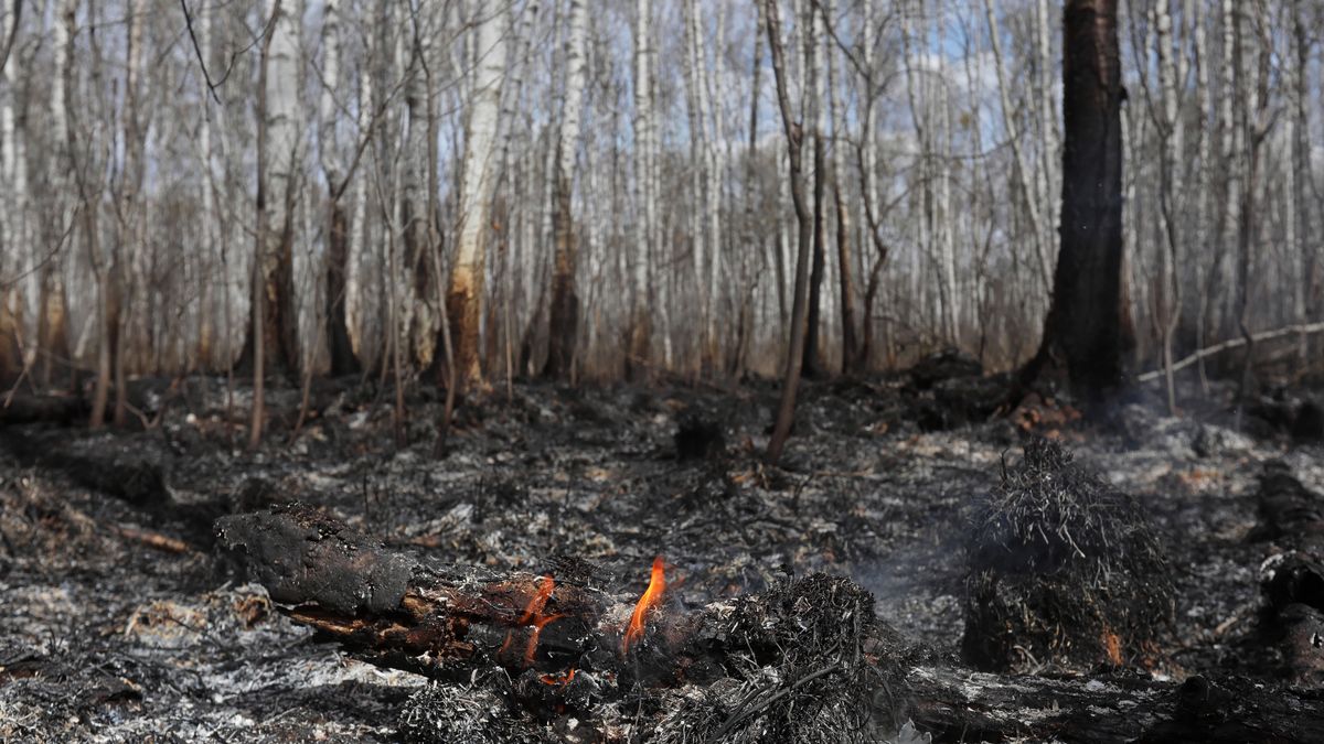 Pożar objął 6 tys. hektarów Biebrzańskiego Parku Narodowego
