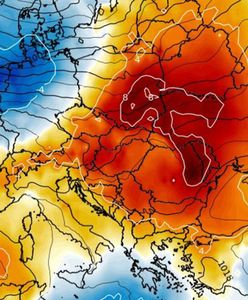Pogoda szaleje. Wyjątkowa "zimna Zośka". Nowa prognoza z IMGW dla WP