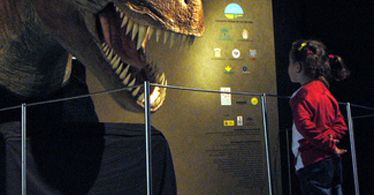 Epokę dinozaurów zawdzięczamy... wulkanom