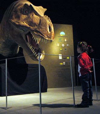 Epokę dinozaurów zawdzięczamy... wulkanom