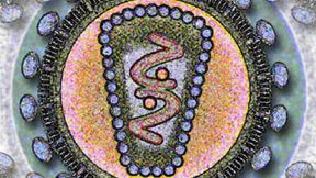 Skuteczna szczepionka na AIDS gotowa! 1