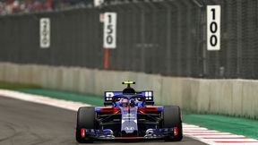Toro Rosso "królikiem doświadczalnym" Red Bulla