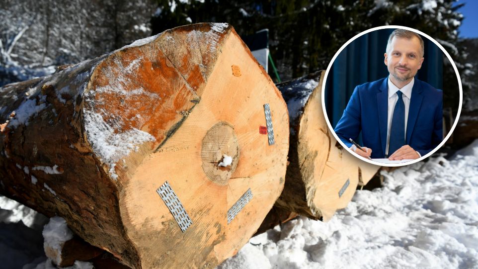 Mikołaj Dorożała zapowiada uszczelnienie systemu ws.