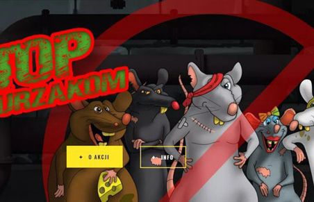 Gang Szczurzaków - Sosnowiec odpowiada kampanią na problem grasujących gryzoni