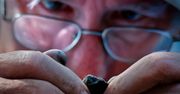 Czekoladowy krzemień odkryty w Polsce. To zmienia naszą wiedzę o historii