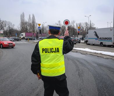 Kontrole na drogach. Nawet 3 tys. zł mandatu za ten szczegół