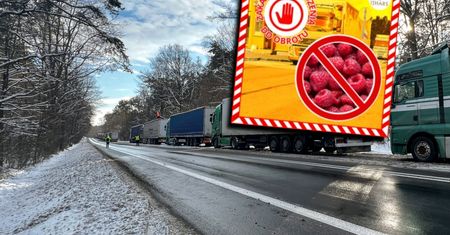 Plastik w malinach z Ukrainy. 20 ton owoców zatrzymanych