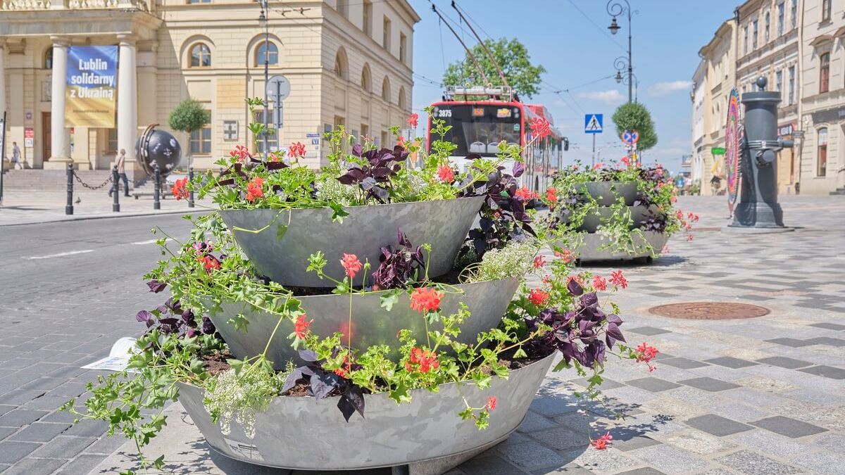 Nowe kwiaty w donicach w centrum Lublina