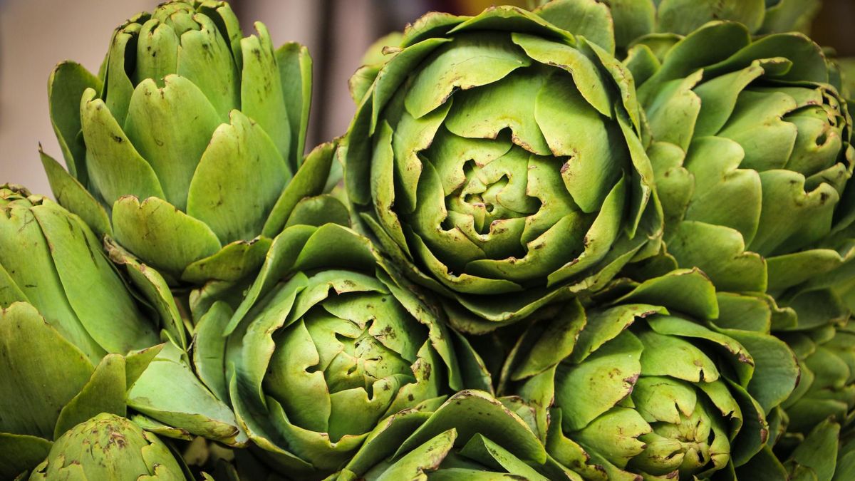 Cynaryna w karczochach