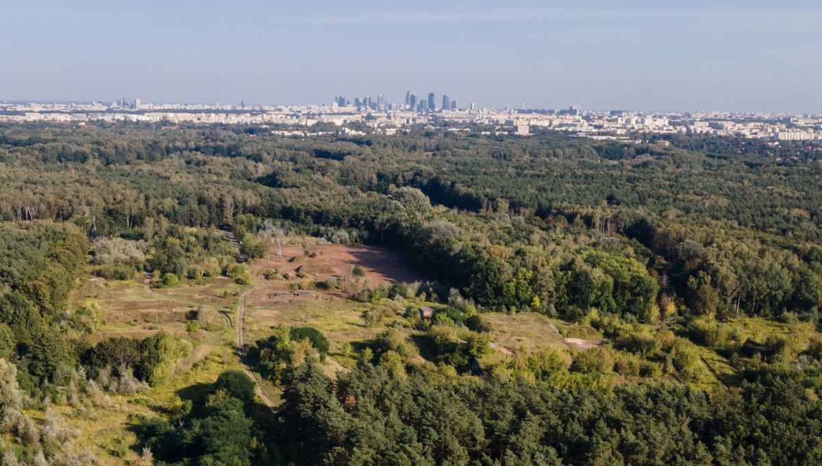 Warszawa. Wszczęto śledztwo ws. budowy w otulinie rezerwatu