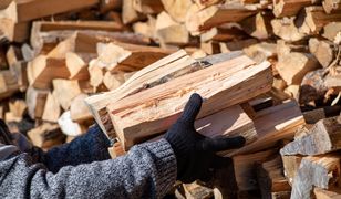 Metr sześcienny czy przestrzenny? Tak kupuj drewno na opał
