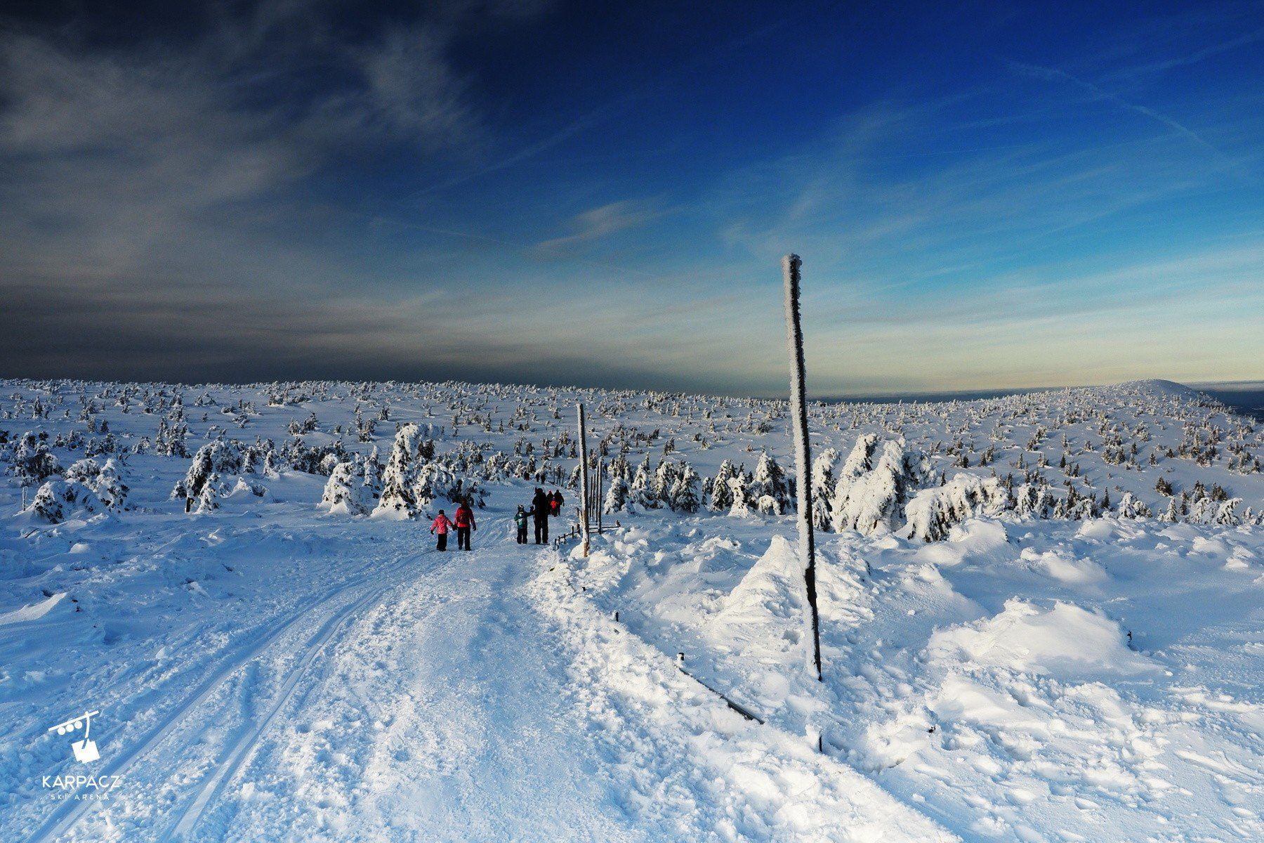 Śnieżka