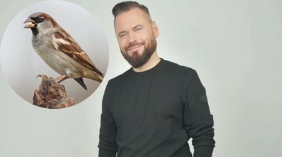 Krzysztof Stanowski szuka wróbli. Internauci pomagają