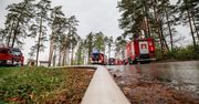 Wiceminister MSWiA: Pożar w Puszczy Solskiej wciąż groźny