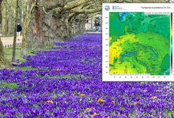 Zwrot w pogodzie. Mamy najnowsze prognozy