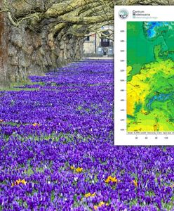 Zwrot w pogodzie. Mamy najnowsze prognozy