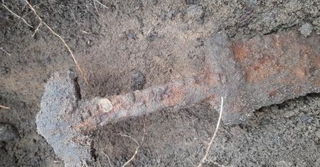 Poszli do lasu z wykrywaczem metali. Niezwykłe, co znaleźli