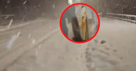 Była 22:10. Hit, co zrobił. Ujęcia z Bielska-Białej
