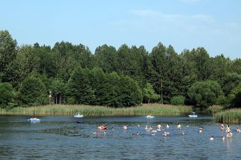 Spojrzała na cennik nad jeziorem pod Toruniem. "Nie ma zmiłuj"