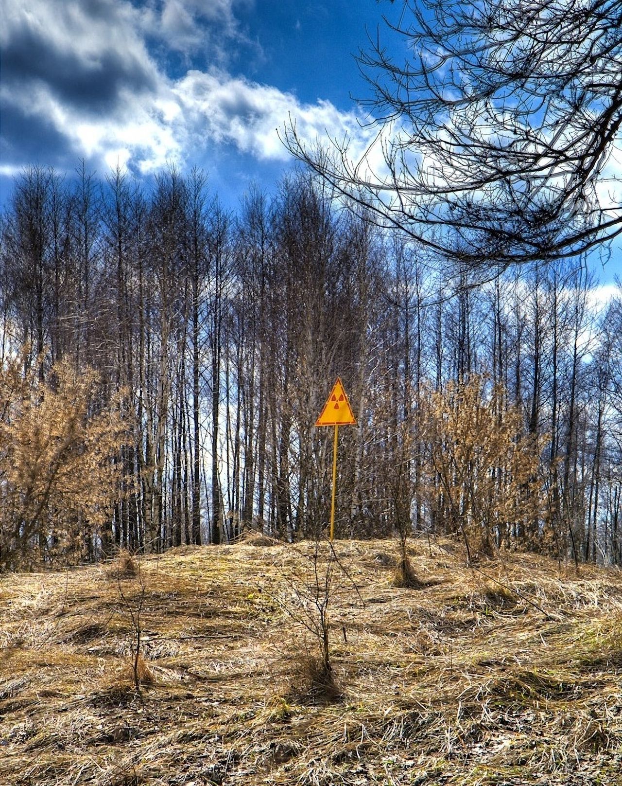 Rosjanie okopani w napromieniowanym, płonącym Czerwonym Lesie. Tak działa atomowy głuchy telefon - Czerwony Las - ostrzeżenie o radiacji