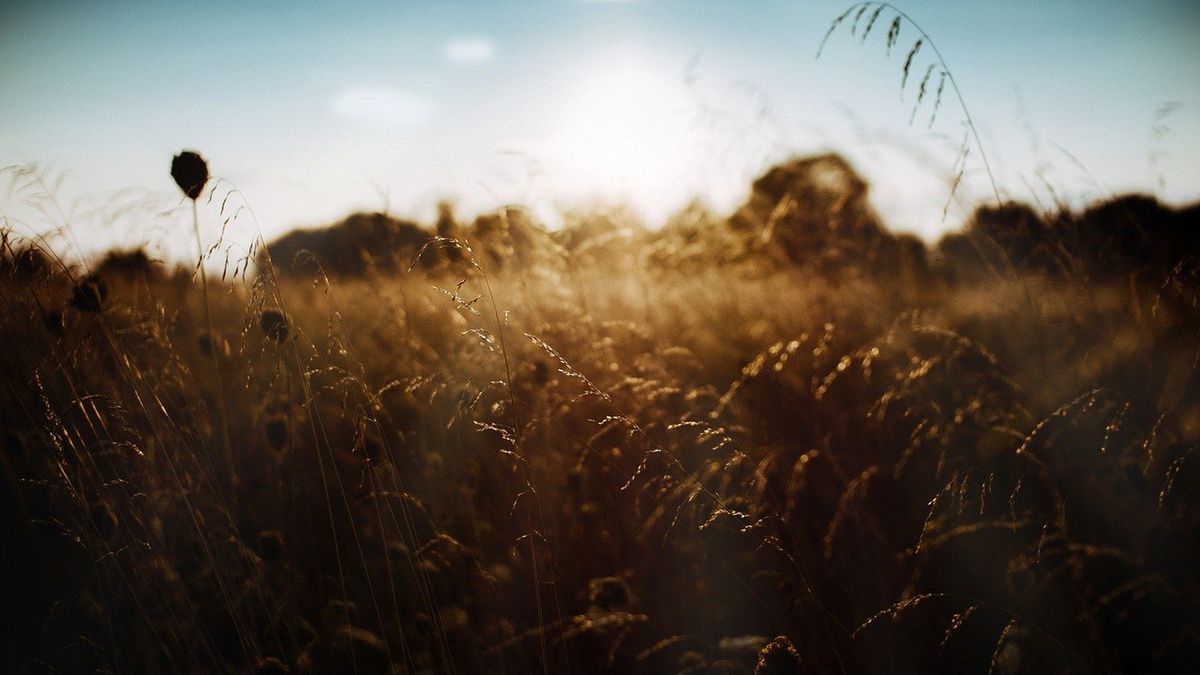 Zdjęcie ilustracyjne