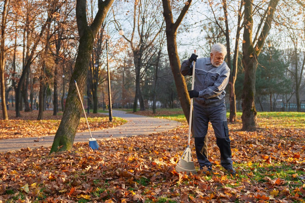Grabienie liści w parku przez mężczyznę