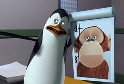 Pitbull nagrywa i imprezuje z pingwinami