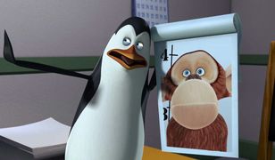 Pitbull nagrywa i imprezuje z pingwinami