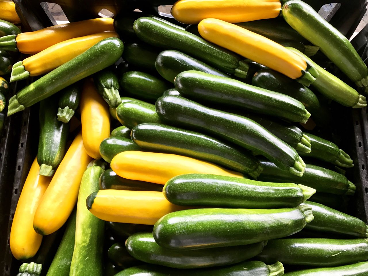 Czy cukinia i kabaczek to to samo warzywo? Wielu nie ma pojęcia