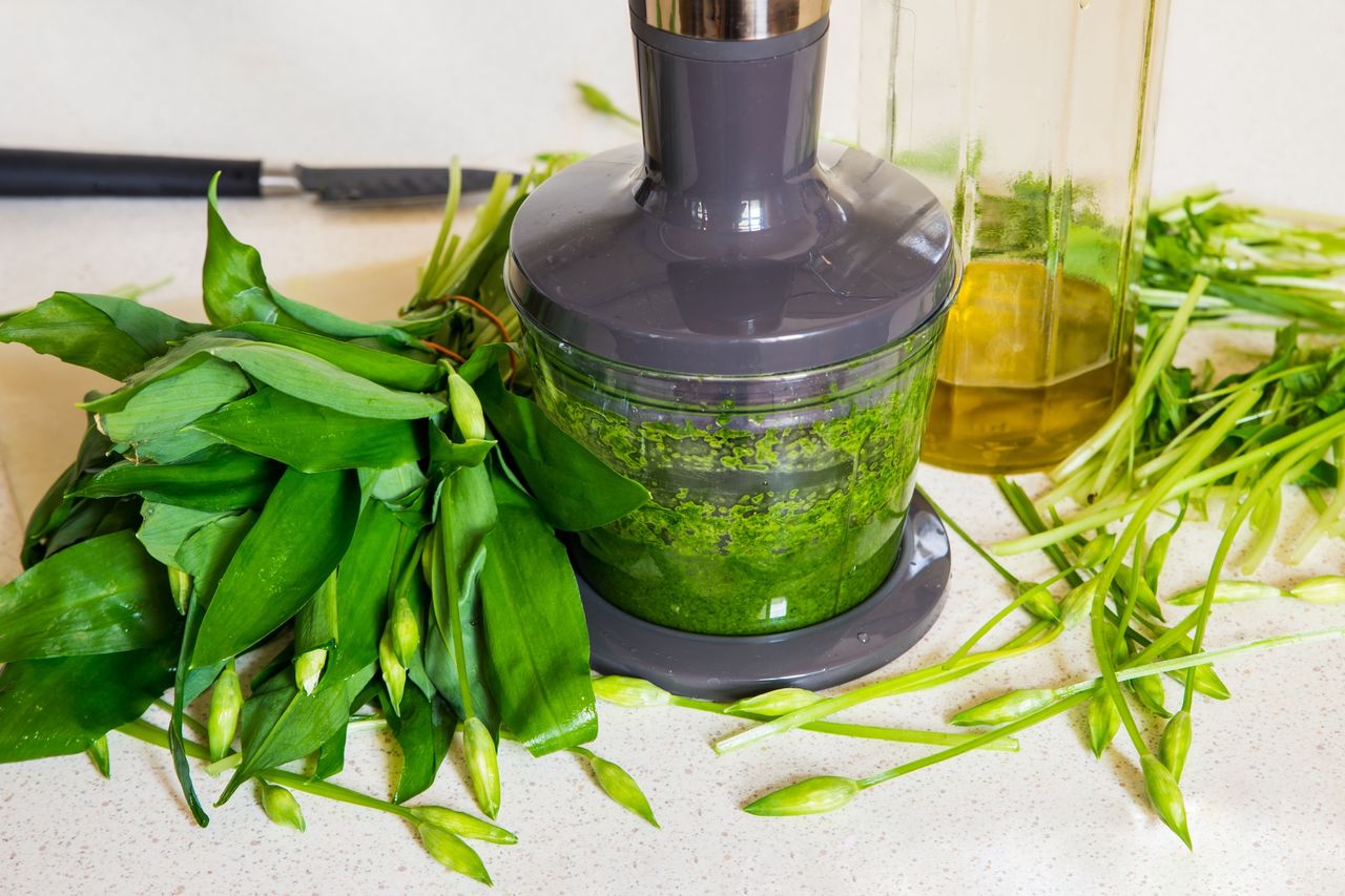 Cebula czarownic to wiosenny skarb. Chroni serce i wspiera odporność