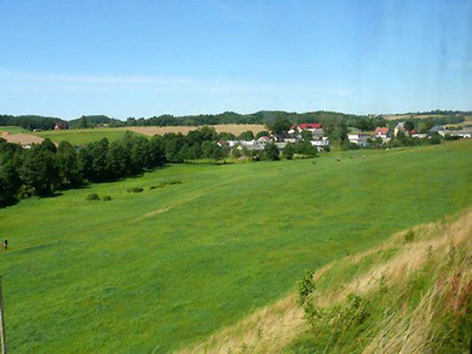 Obraz