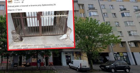 "Ludziom to wszystko się do łap klei". Zdziwisz się, co padło łupem złodziei