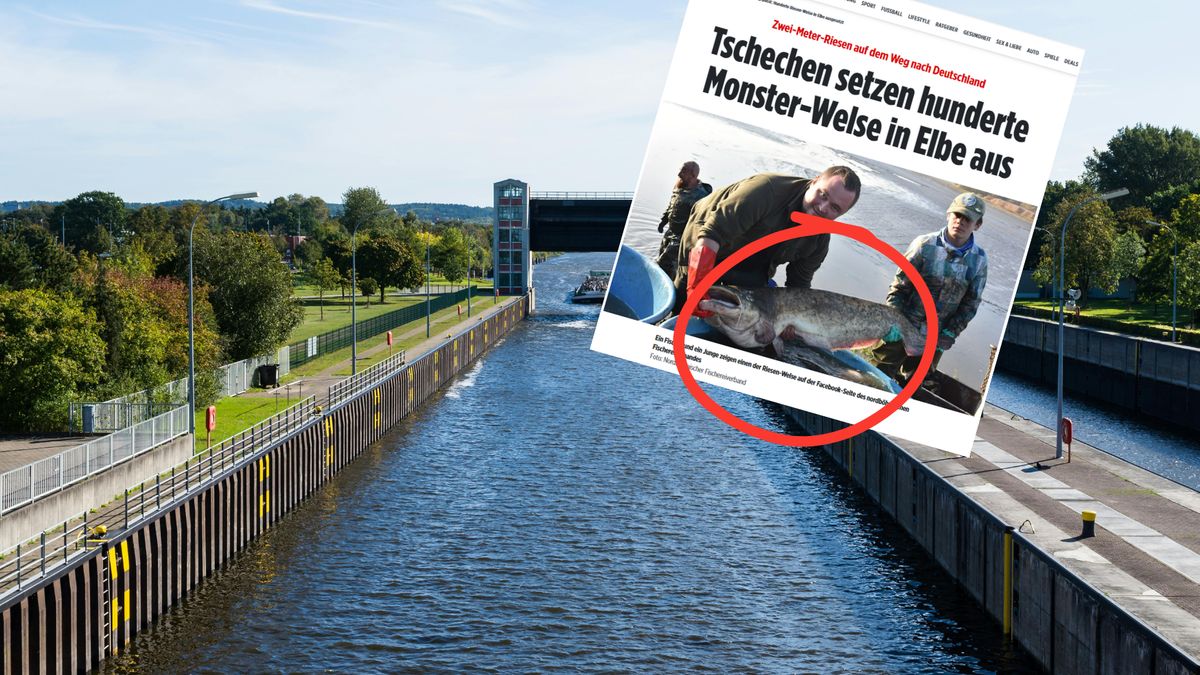 Ogromne sumy w Łabie